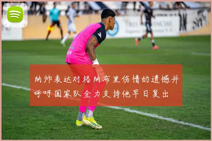 纳帅表达对格纳布里伤情的遗憾并呼吁国家队全力支持他早日复出